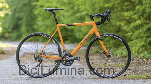 Rose Pro Cross ficha técnica y opiniones